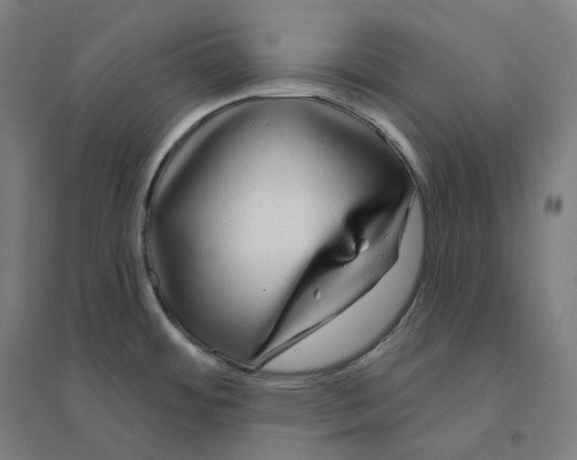 X0000094461484200712061212