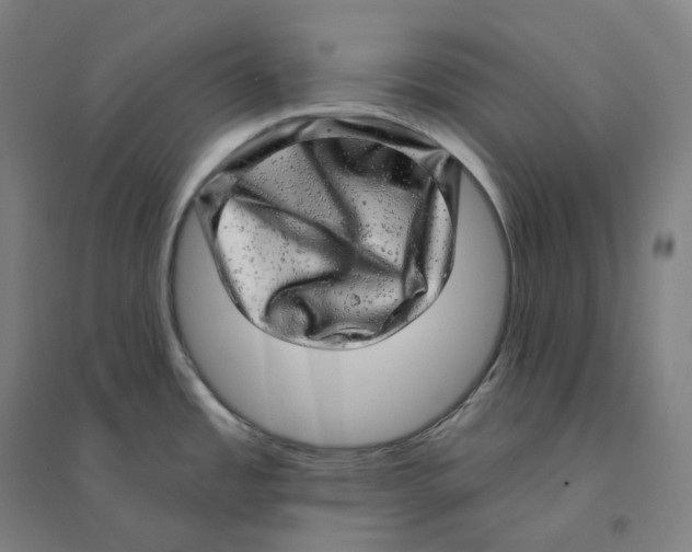 X0000094461485200712061212