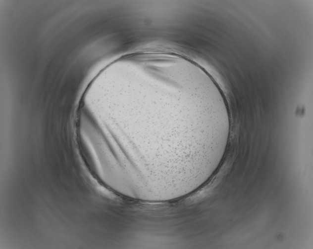 X0000094461486200712061212