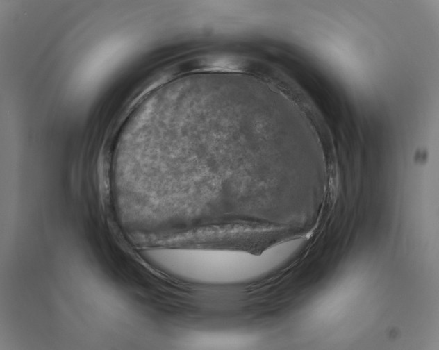 X0000094461487200712061212