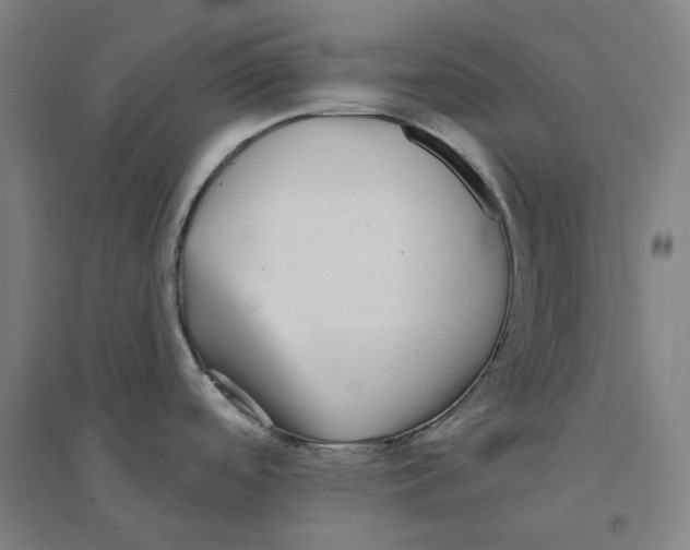 X0000094461488200712061212