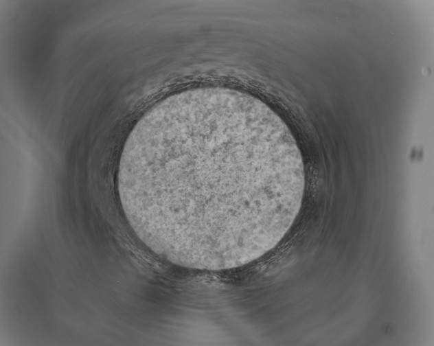 X0000094461489200712061211