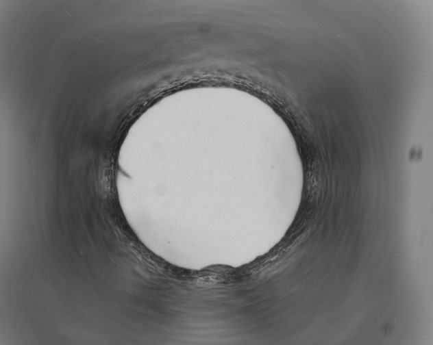 X0000094461490200712061211