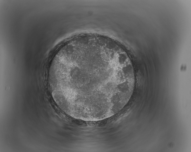 X0000094461494200712061211