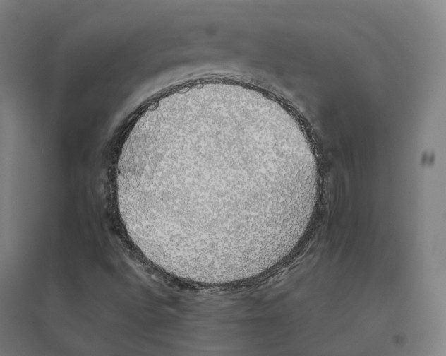 X0000094461496200712061211