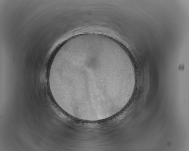 X0000094461498200712061211