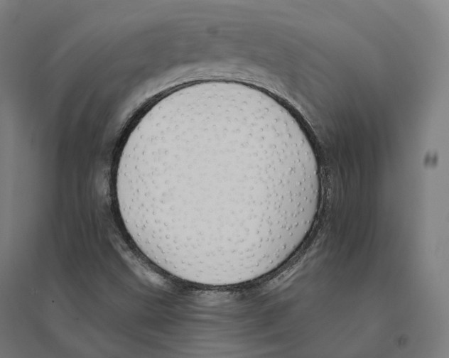 X0000094461499200712061211