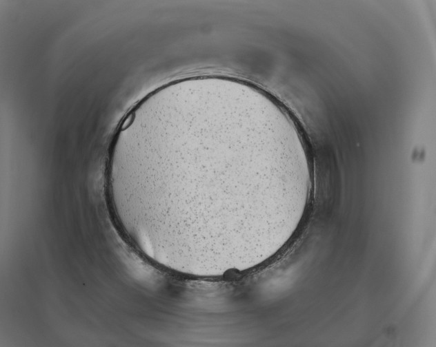 X0000094461500200712061211