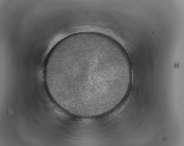 X0000094461501200712061211