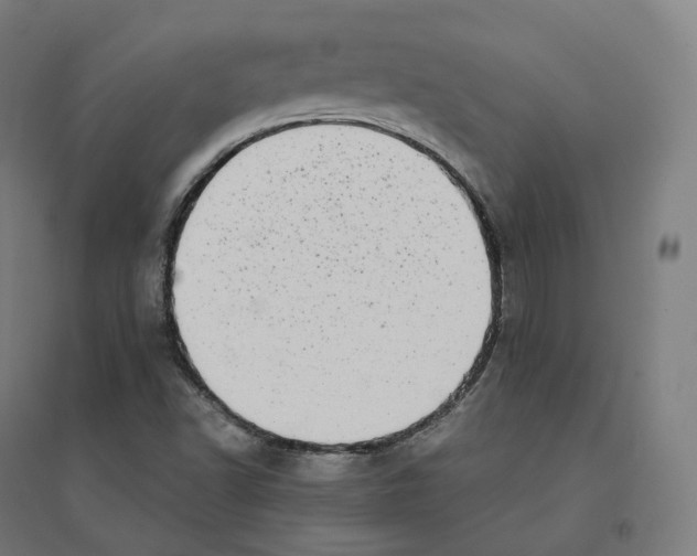 X0000094461502200712061211