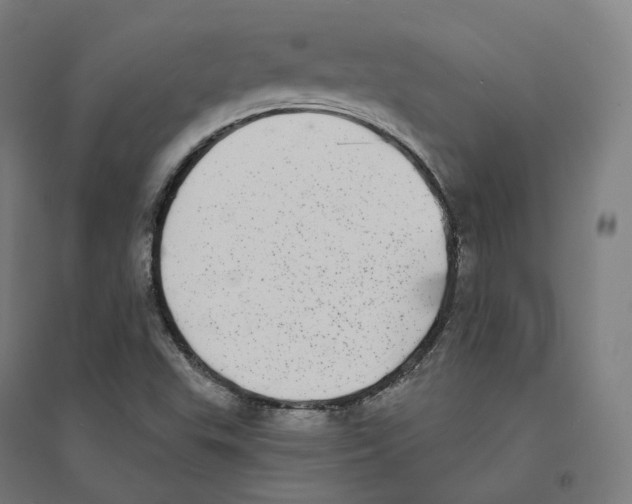 X0000094461503200712061211