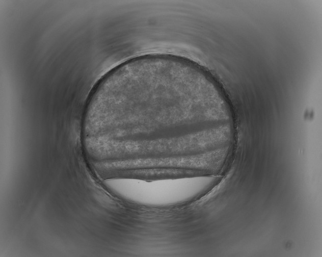 X0000094461505200712061211