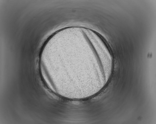 X0000094461507200712061211