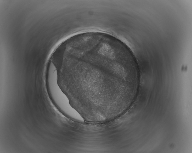 X0000094461508200712061211