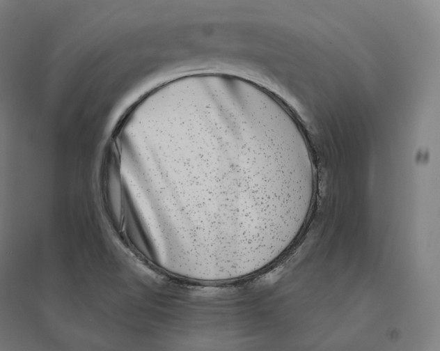 X0000094461510200712061211