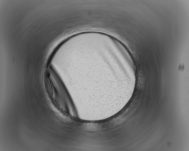 X0000094461511200712061211