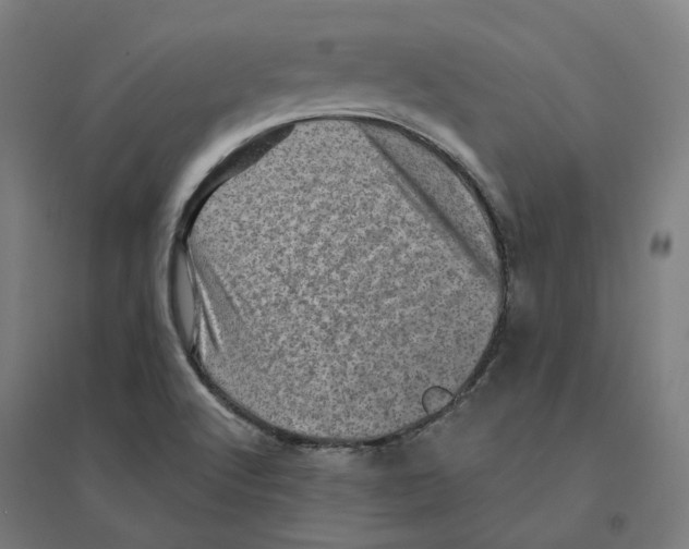 X0000094461512200712061211