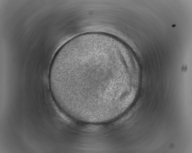 X0000094461513200712061211