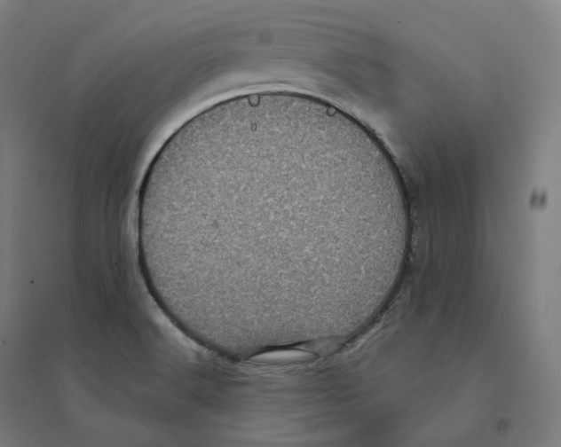 X0000094461516200712061211