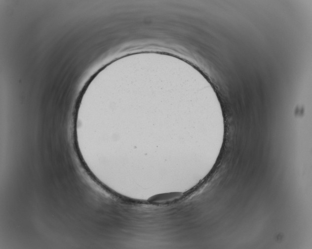 X0000094461518200712061211