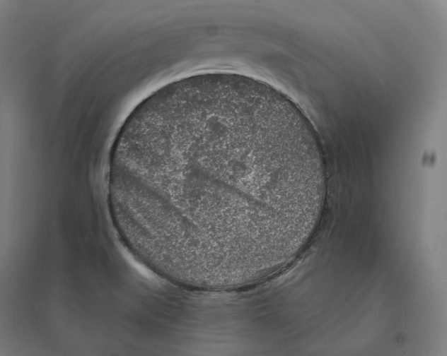 X0000094461519200712061211