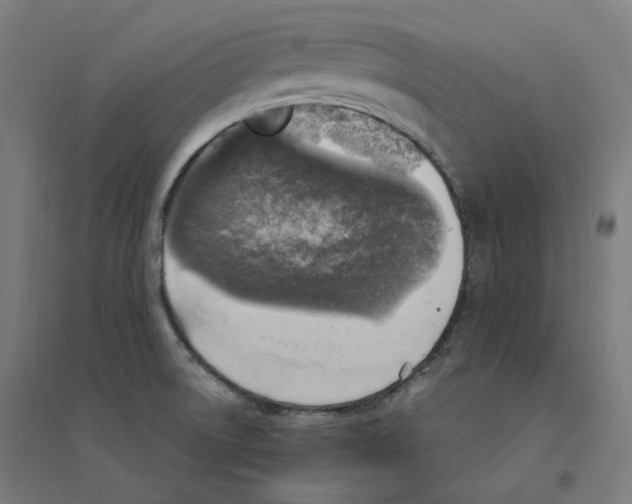 X0000094461522200712061211