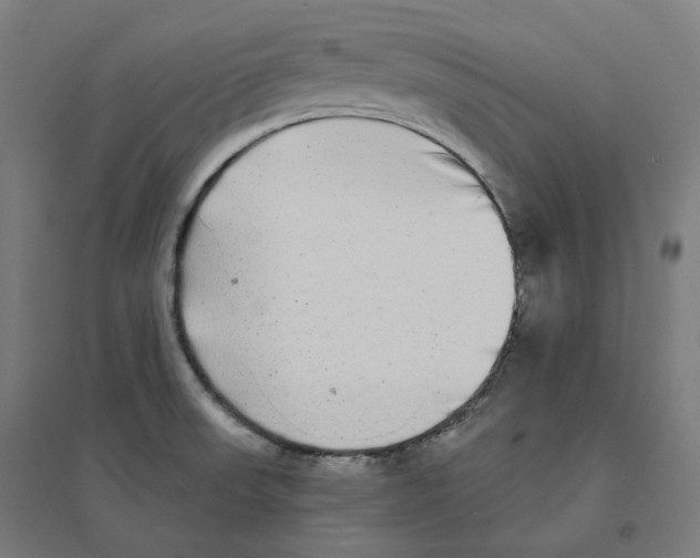 X0000094461523200712061211