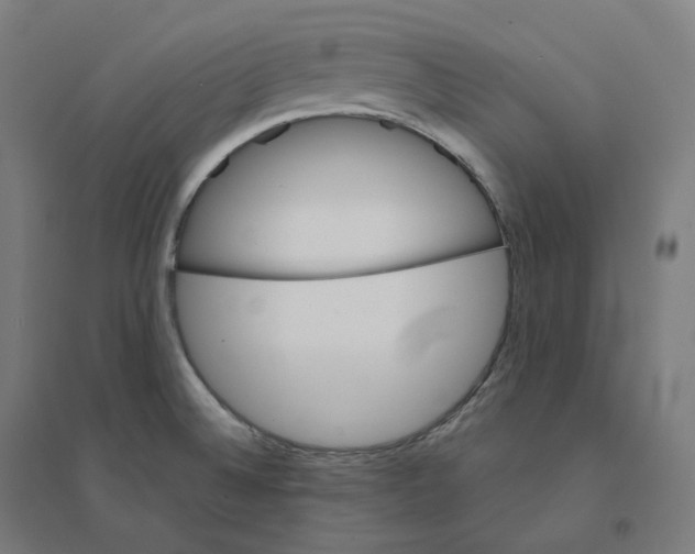 X0000094461524200712061211