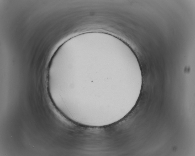 X0000094461526200712061211