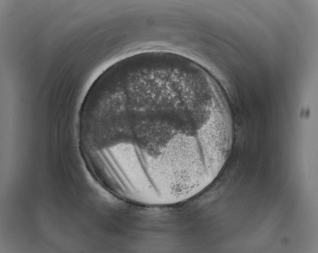 X0000094461527200712061211