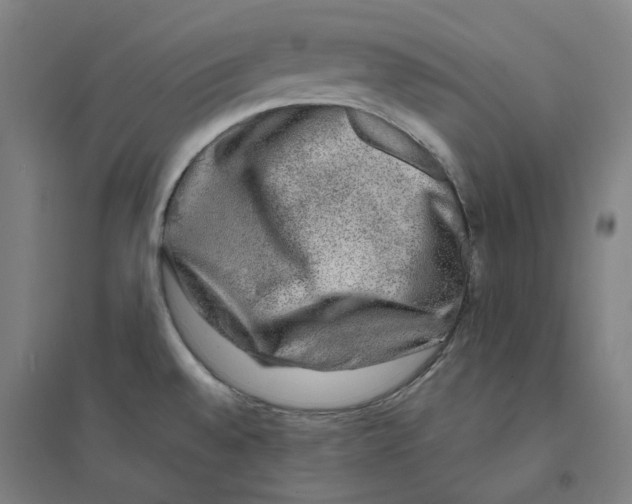 X0000094461528200712061211