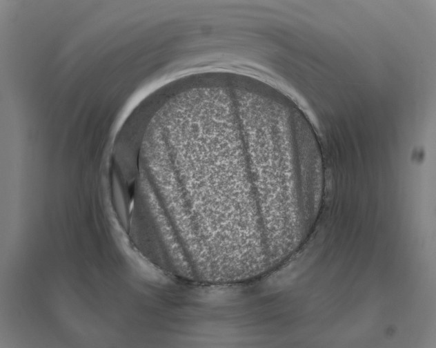 X0000094461530200712061211