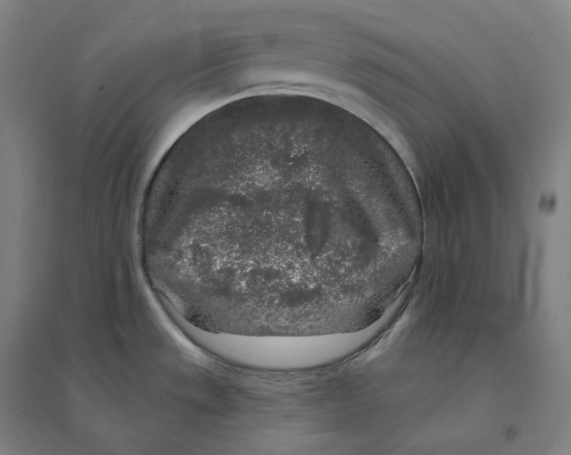 X0000094461533200712061211