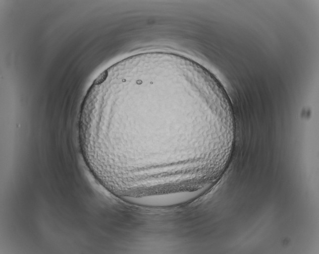 X0000094461534200712061212