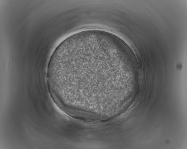 X0000094461535200712061212