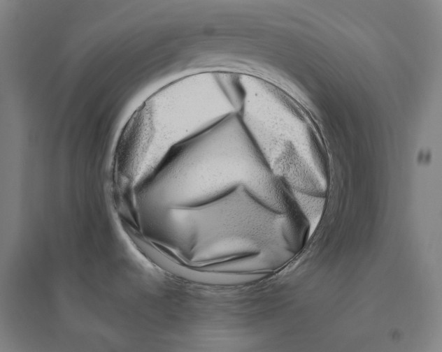 X0000094461536200712061212