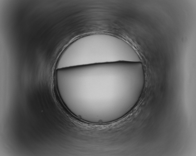 X0000094770002200711160839