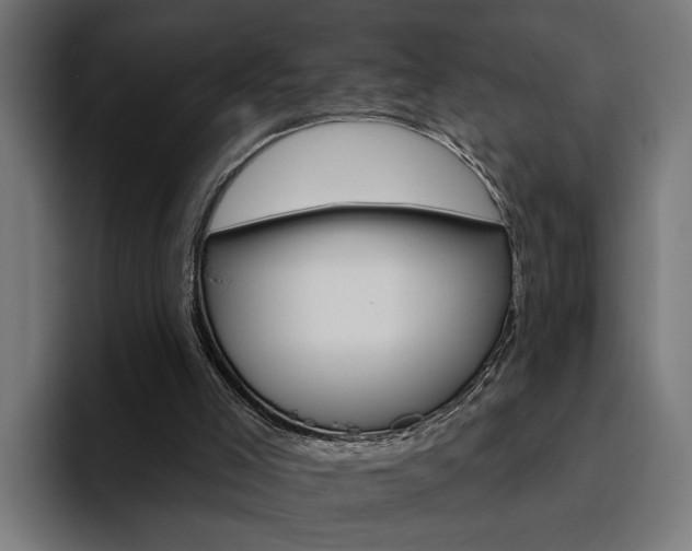 X0000094770005200711160839