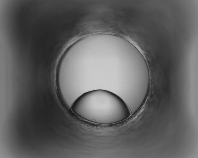 X0000094770008200711160839