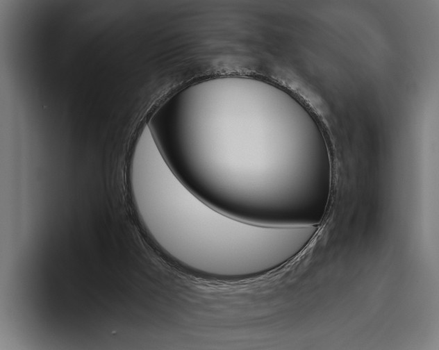 X0000094770009200711160839