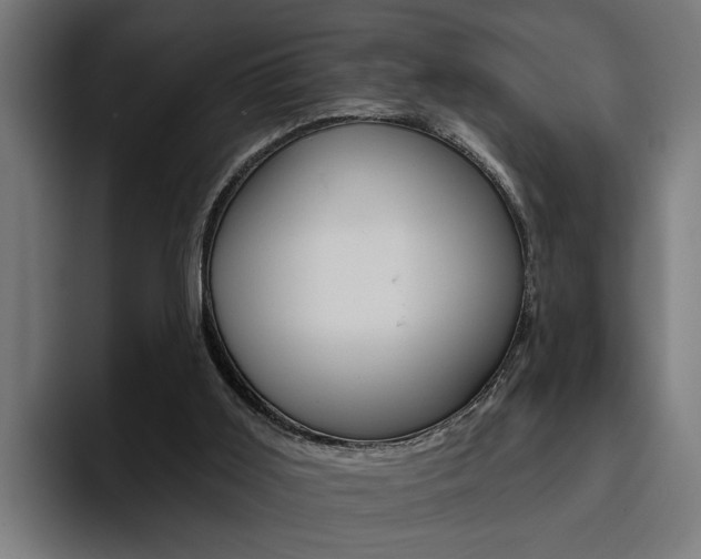 X0000094770011200711160839
