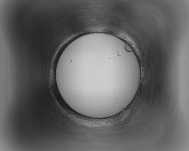 X0000094770012200711160839