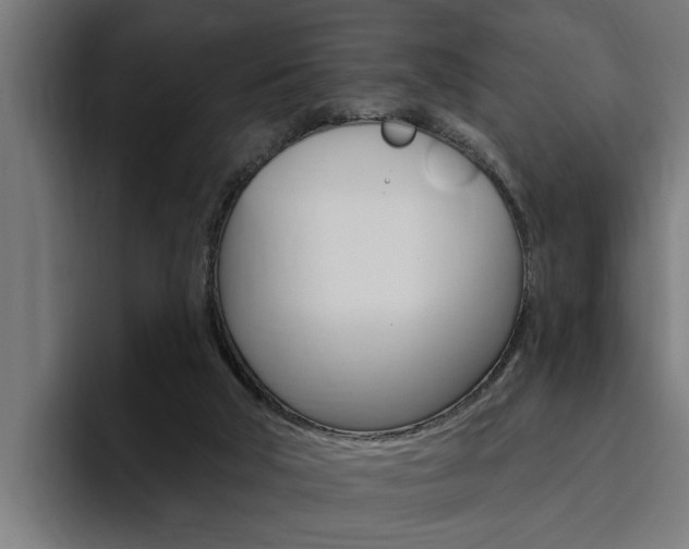 X0000094770018200711160839