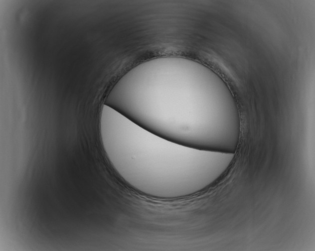 X0000094770022200711160839