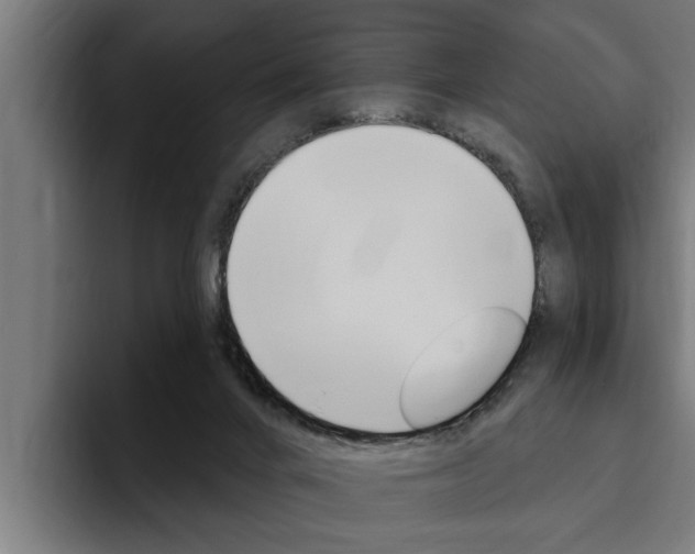 X0000094770024200711160839
