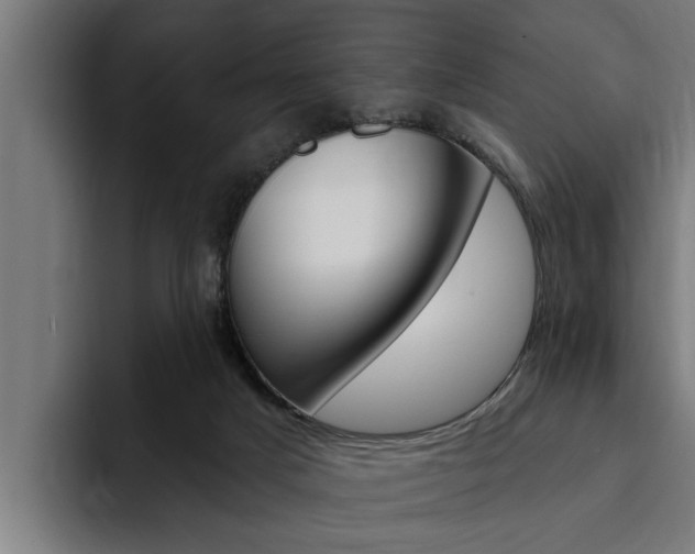 X0000094770025200711160839