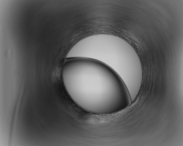 X0000094770033200711160839