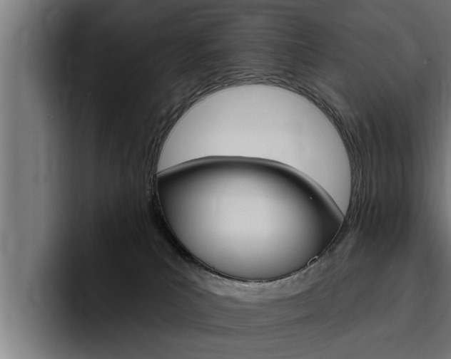 X0000094770039200711160839