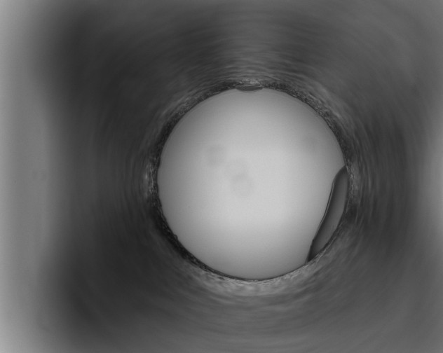 X0000094770043200711160839