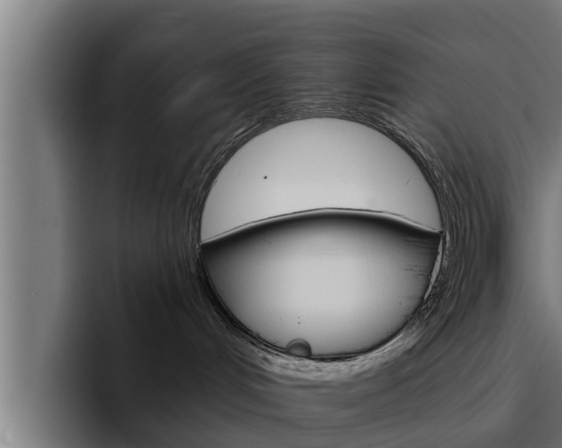 X0000094770048200711160839